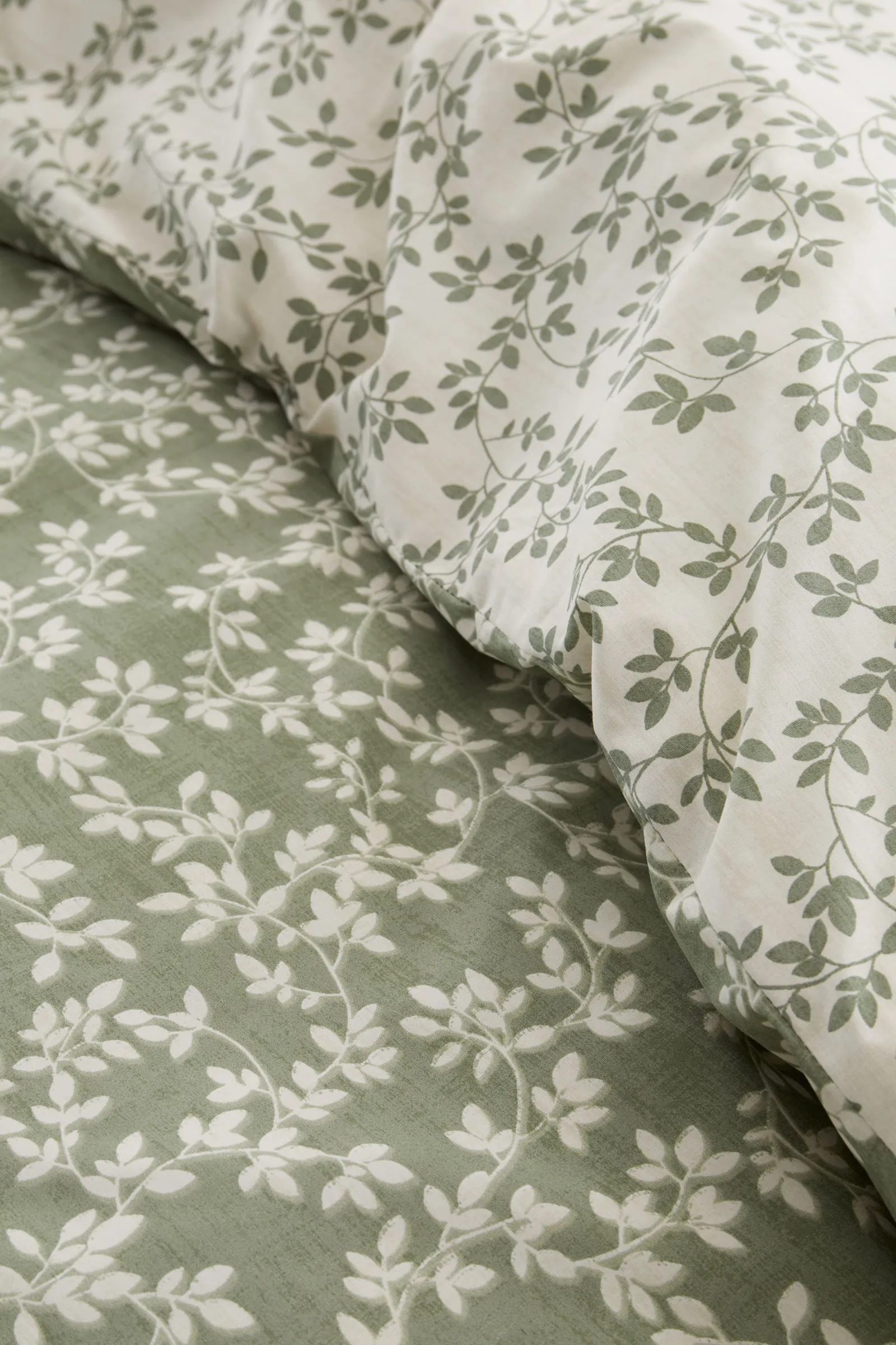 Bianca 'Shadow Leaves' 200TC Cotton Duvet Cover Set in Green 4