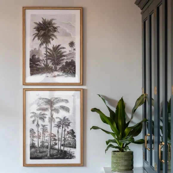 Cedar and Sage Set of 2 Palm Drawing Framed Prints