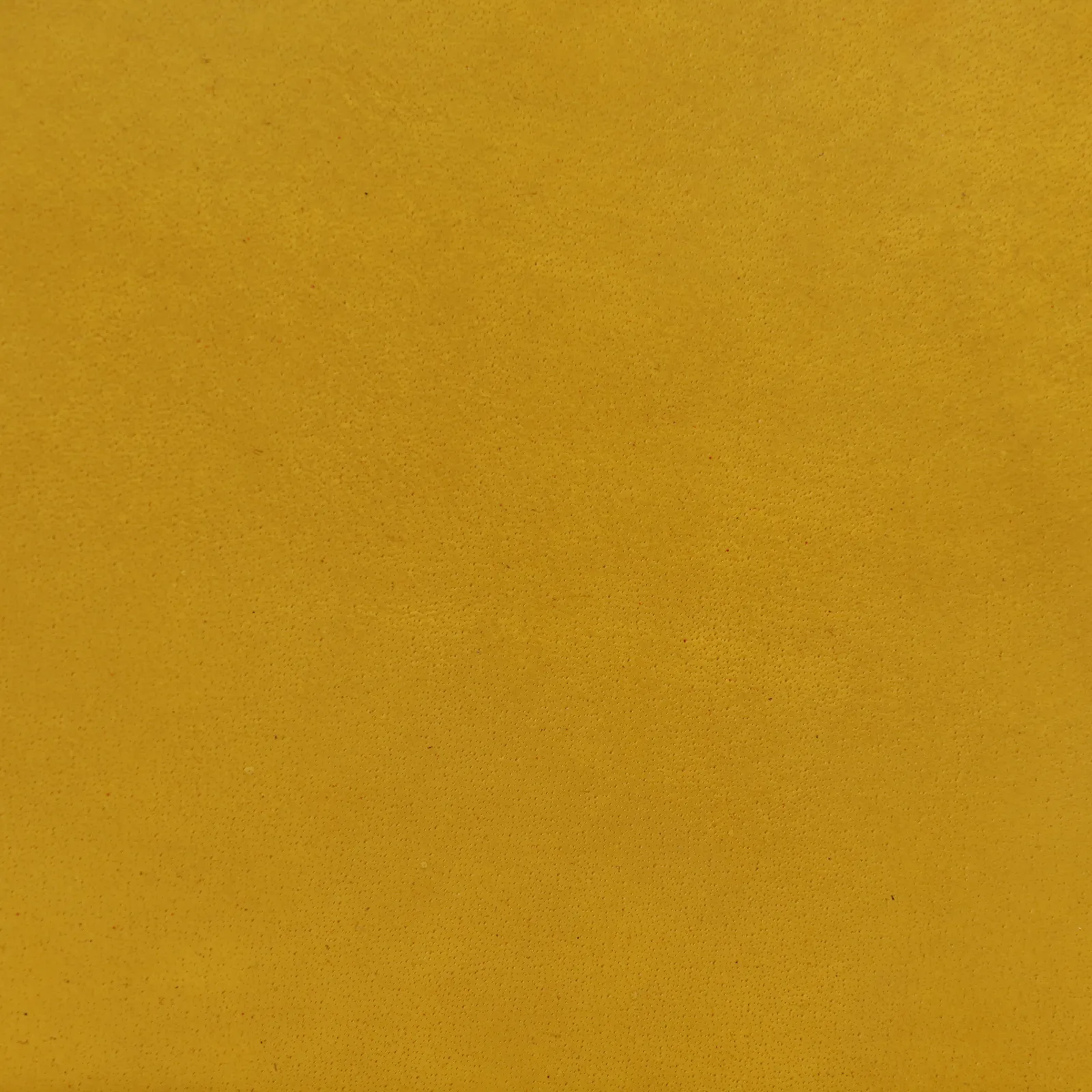 Pure Furniture Twyford Dining Chair, Yellow Leather | Barker & Stonehouse 5