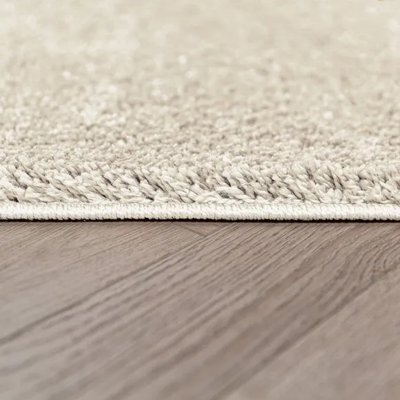 Sheen Shaggy Rug 4