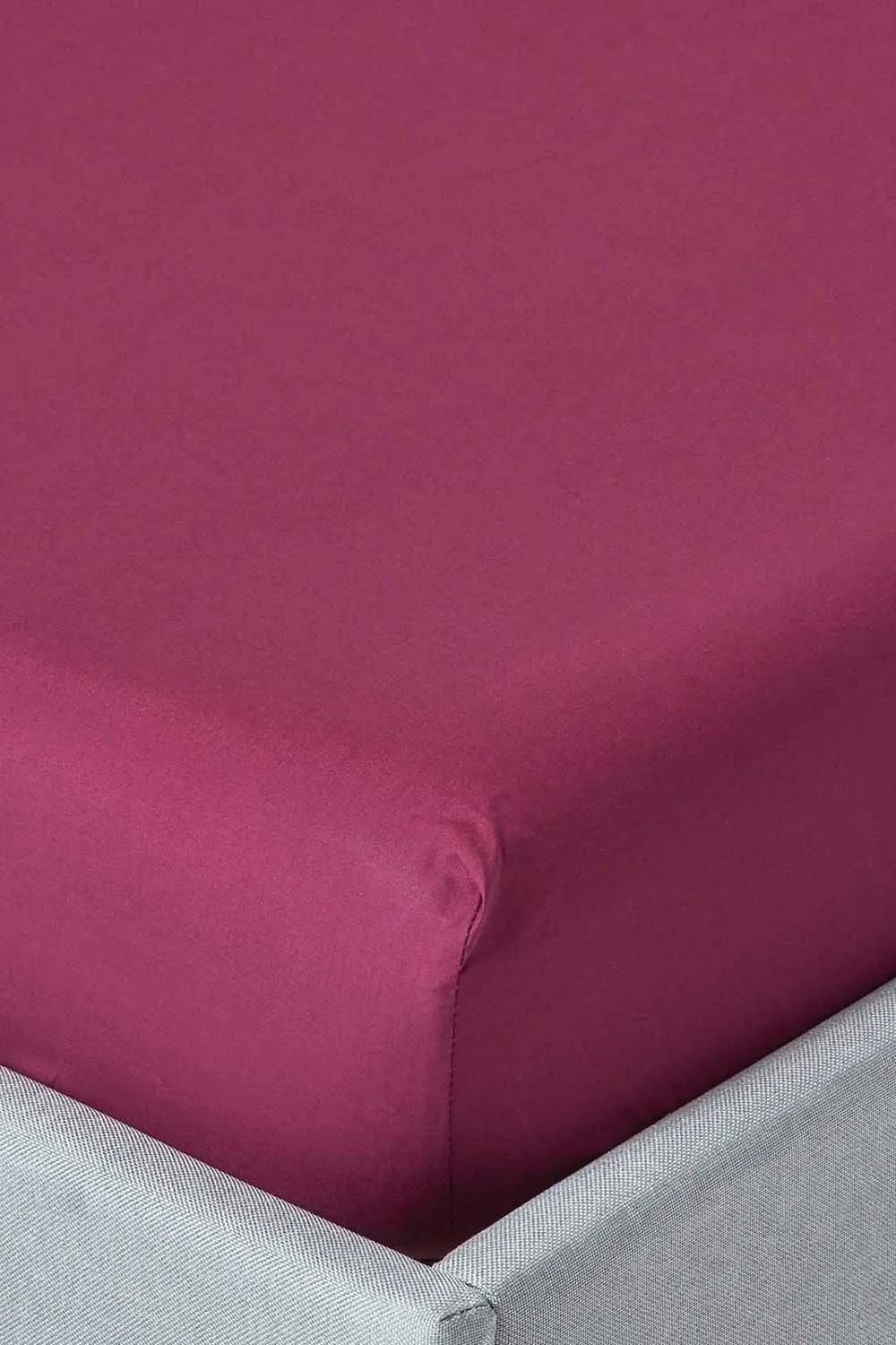Homescapes Egyptian Cotton Fitted Sheet 12 inch 200 Thread Count in Plum 1