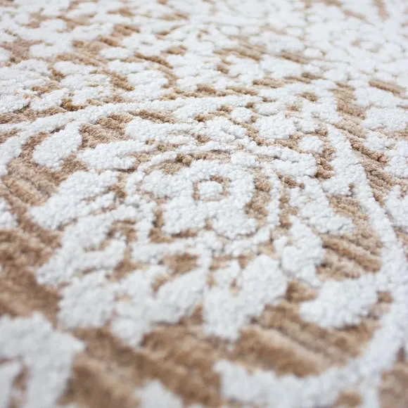 Velora Traditional Rug 2