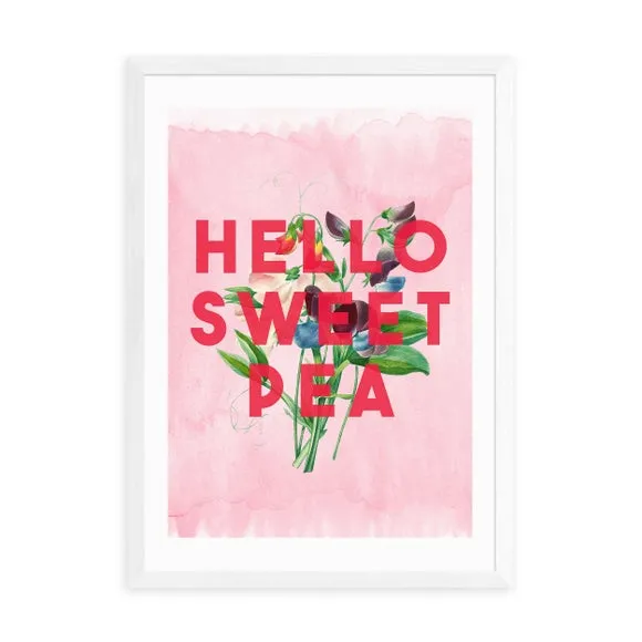 East End Prints Hello Sweet Pea Print by The 13 Prints 2