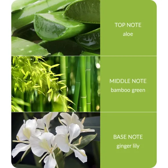 Heart and Home Bamboo & Ginger Lily Diffuser 3