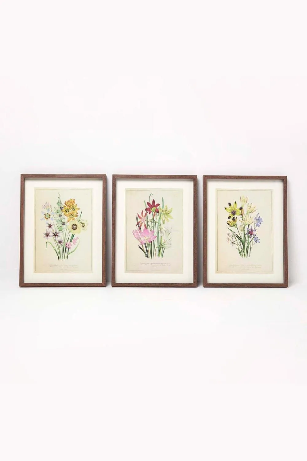 Homescapes Wall Decoration Set of 3 Frames with Picture, Wildflowers