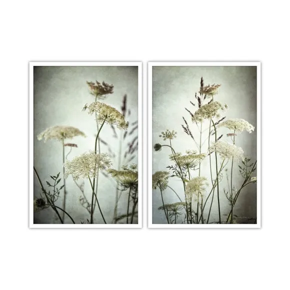 Artko Set of 2 Queen Anne's Lace Framed Prints 3