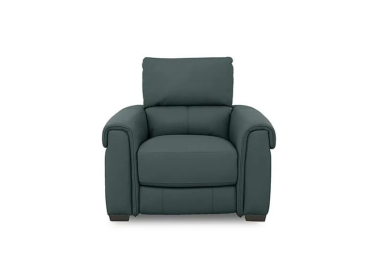 Nixon Leather Chair - BV Lake Green