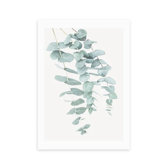 East End Prints Eucalyptus 2 Print