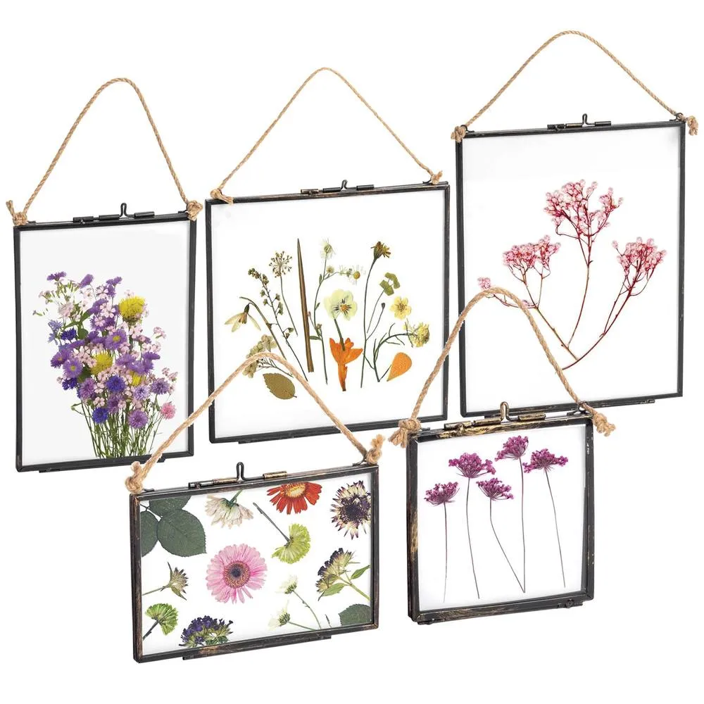Nicola Spring 5pc Hanging Metal Photo Frames Gallery Set - Black - Picture Frame Wall Mounted Frame with Rope