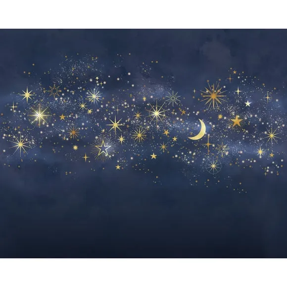 Celestial Wall Mural 2