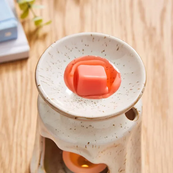 Set of 6 Raspberry & Rhubarb Wax Melts 2