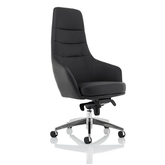 Agora Office Chair In Black With Fixed Arms And High Back
