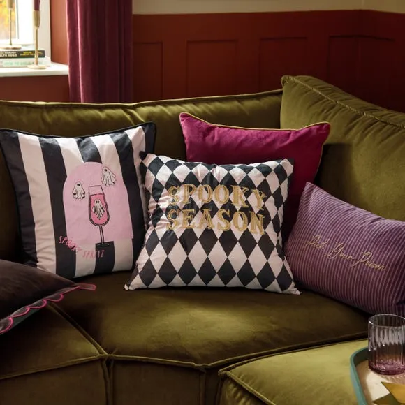 Furn. Pick Your Poison Rectangle Cushion 5