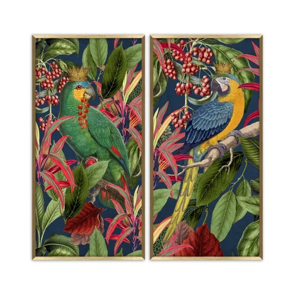 Set of 2 Parrot King Framed Prints 2