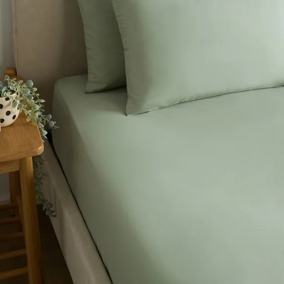 Cotton Rich Fitted Sheet 1