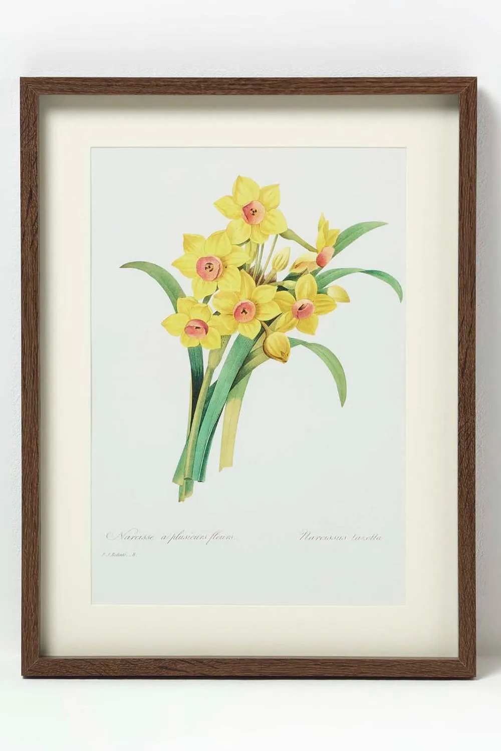Homescapes Set of 2 Narcissus Flower Wall Art in Yellow 2