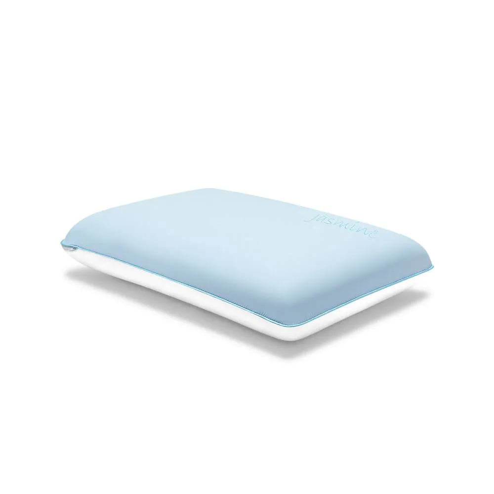 GAVENO CAVAILIA Jasmine Scent Infused Pillow in Blue 3