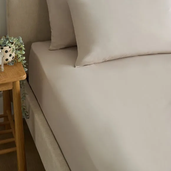 Cotton Rich Fitted Sheet