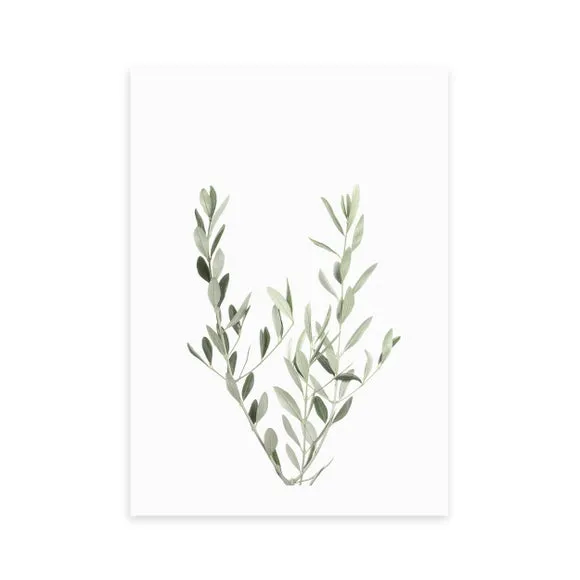 East End Prints Botanical II - Olive Branch Print 2