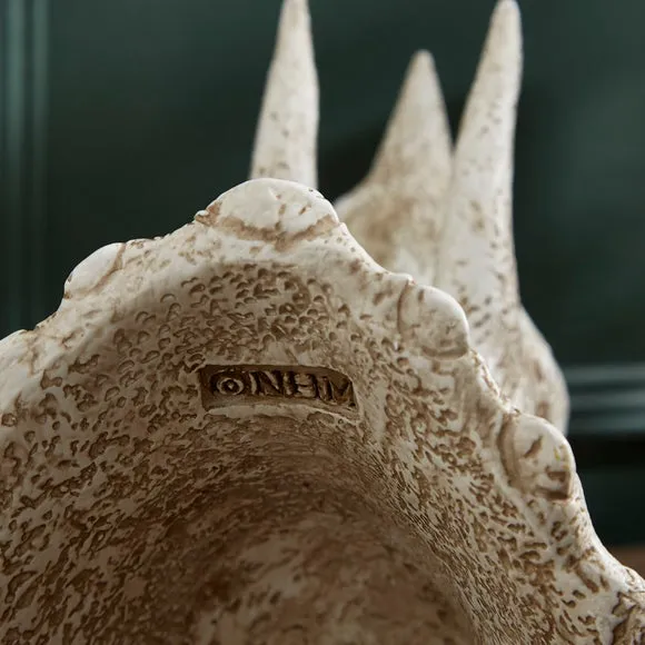 Triceratops Skull Table Lamp 4