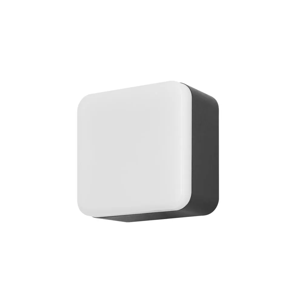 Netlighting Tilt LED Outdoor Flush Wall Lamp grey Opal Neutral White 4000K IP44