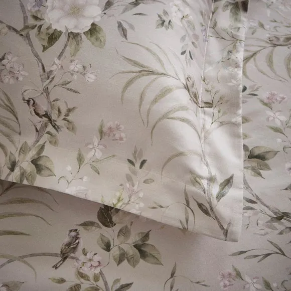 Dorma Birdsong 100% Cotton Sateen Oxford Pillowcase Pair 3