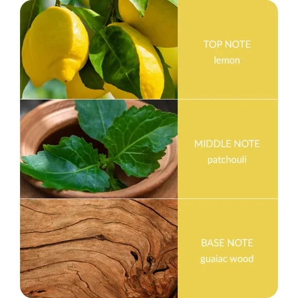 Heart and Home Bamboo Patchouli & Guaiac Wood Diffuser 3