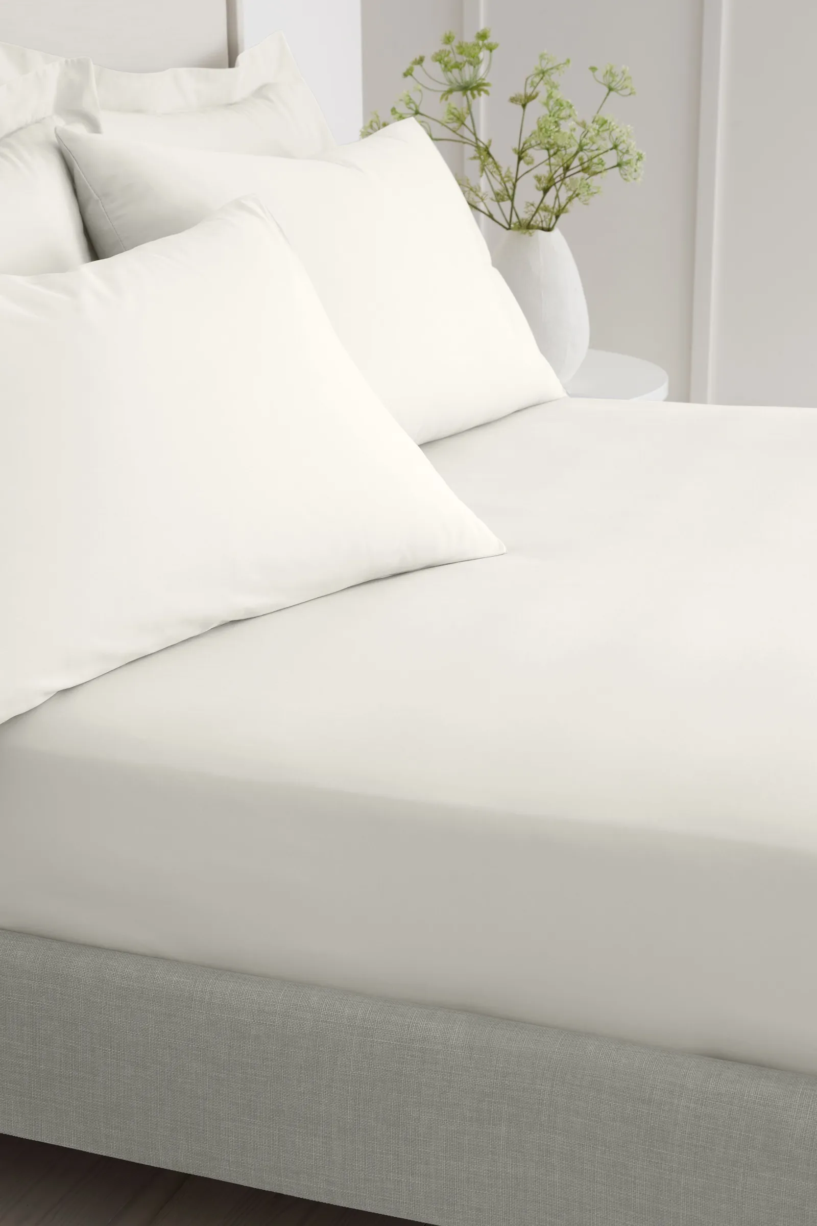 Bianca 200 Thread Count Cotton Percale 32cm Depth Sheet in Cream 2