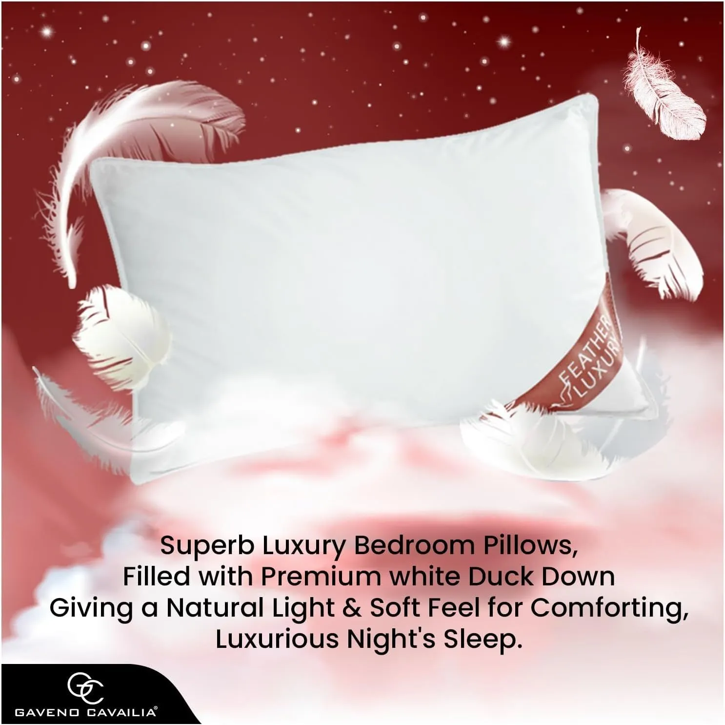 GAVENO CAVAILIA 2 Pack Feather Luxury Pillow Set in White 6