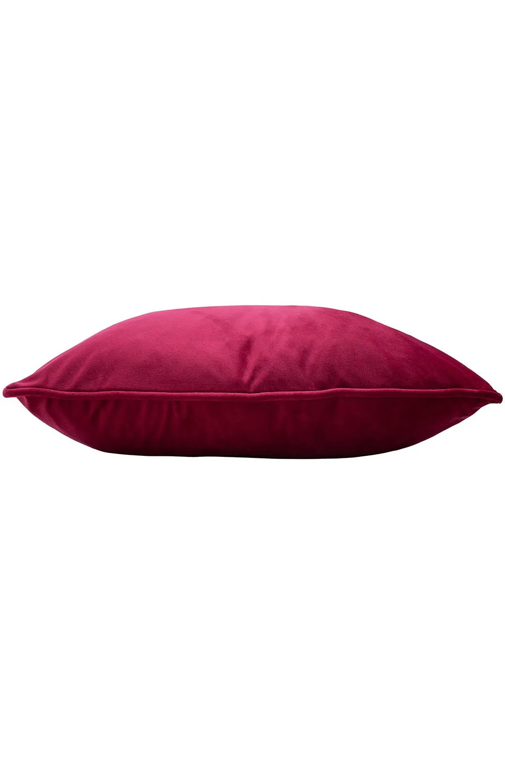 Paoletti Hortus Embroidered Bee Soft Velvet Pipe Trimmed Cushion in Fuchsia 3