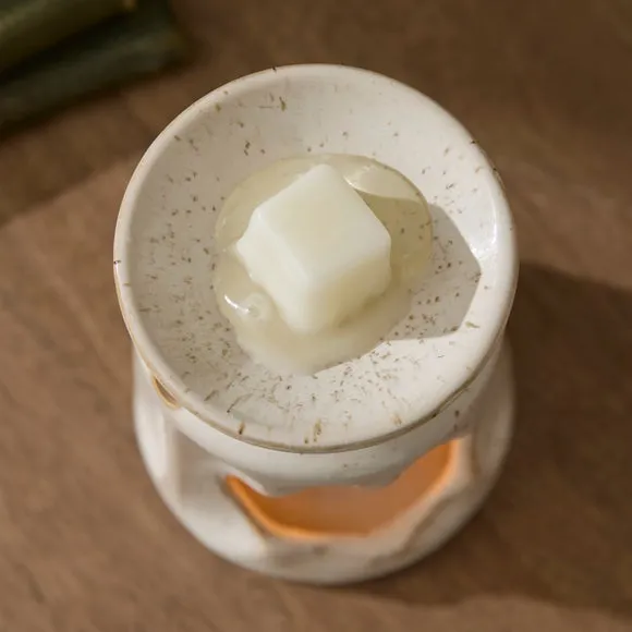 Set of 6 Spiced Apple & Cinnamon Wax Melts 2