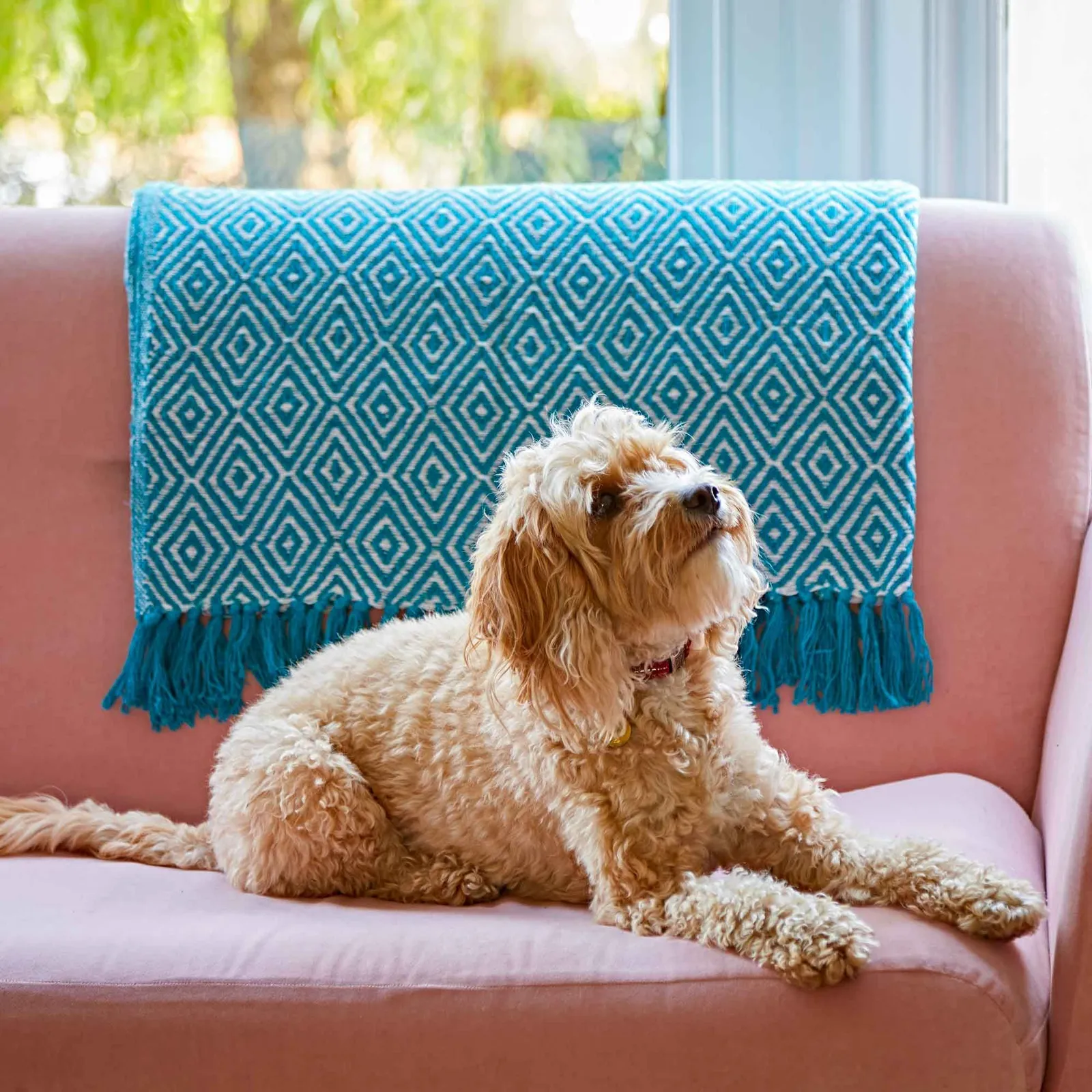 Paper High Diamond Cotton Throw in Turquoise