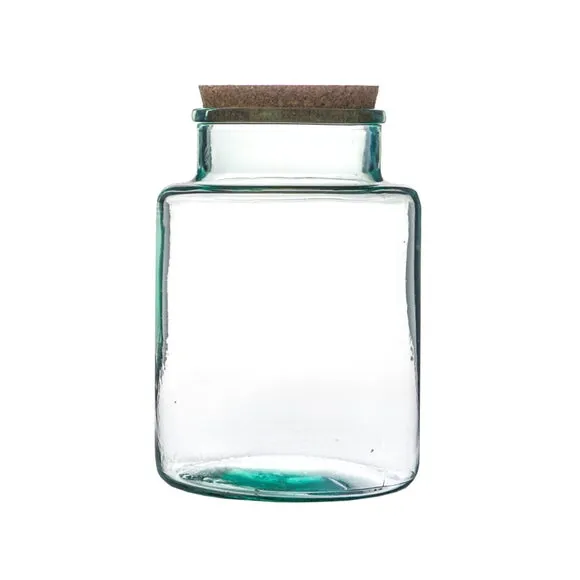 Bottle Shape Large Terrarium DIY Kit