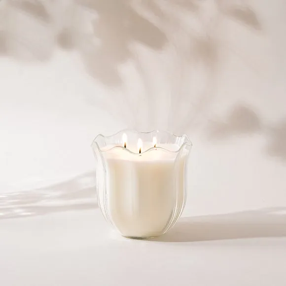 English Garden Sweet Pea & Mimosa Multi Wick Candle