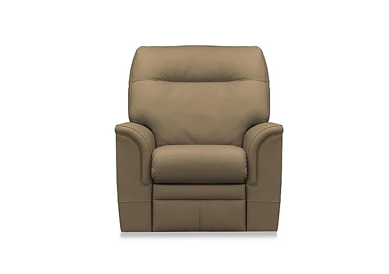 Hudson 23 Leather Chair - Como Sage