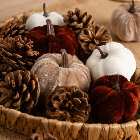 Set of Decorative Velvet Pumpkins and Pinecones 3