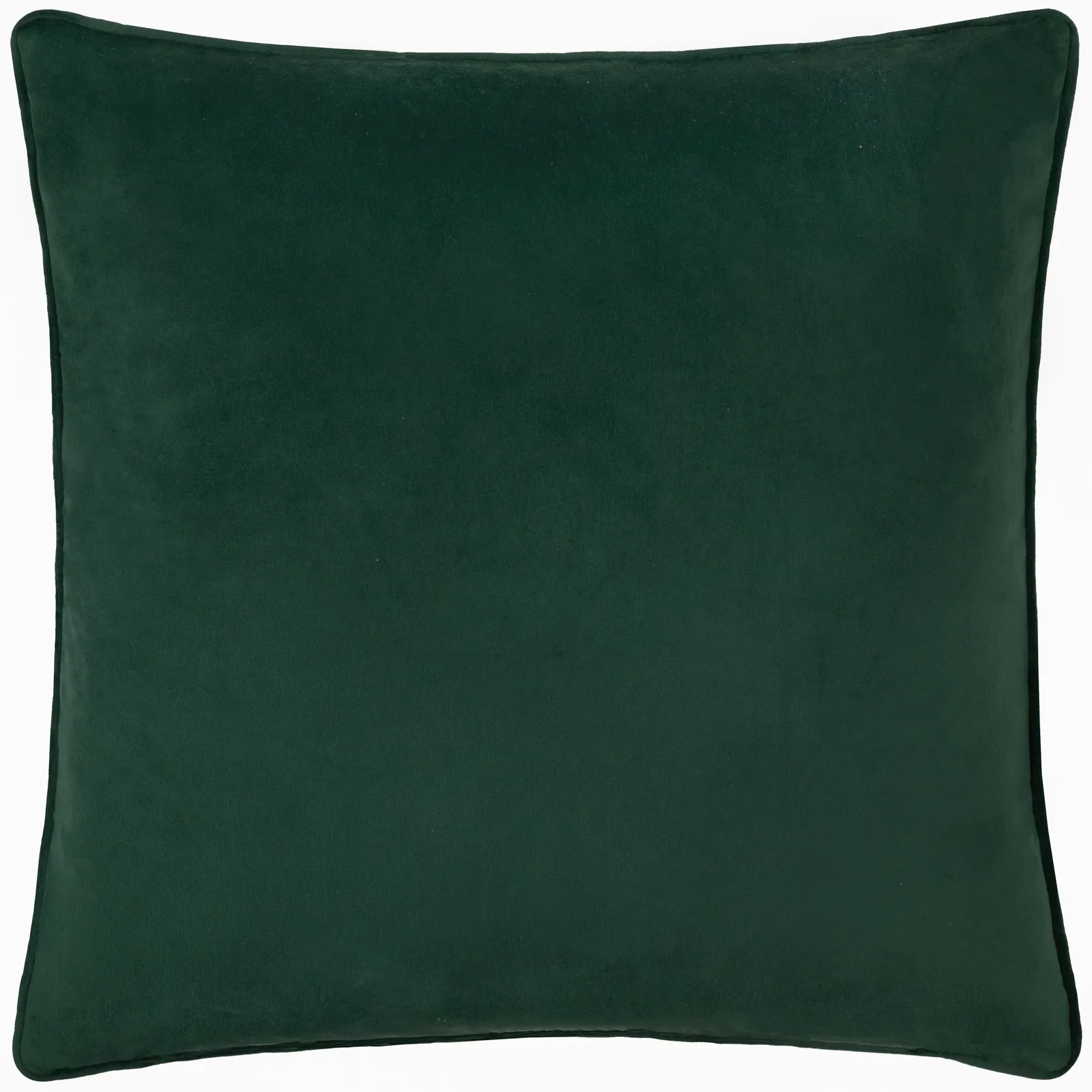 Paoletti Odisha Exotic Bird Embroidered Cushion in Emerald 3
