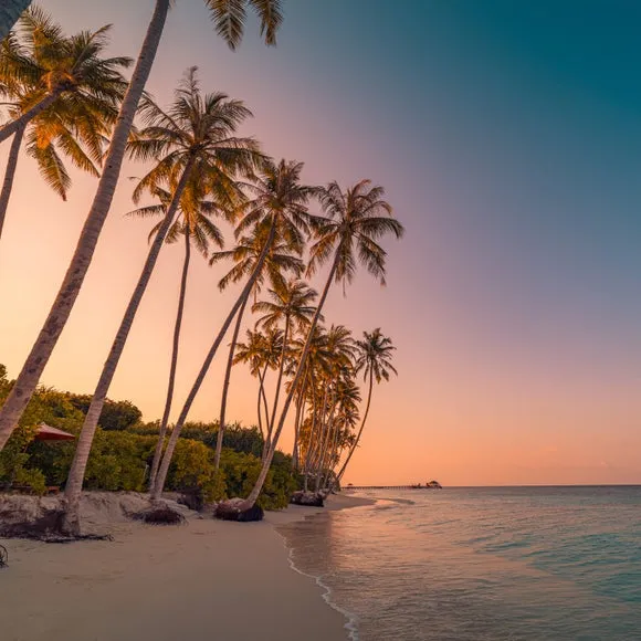 Sunset Beach Multicoloured Wall Mural 2