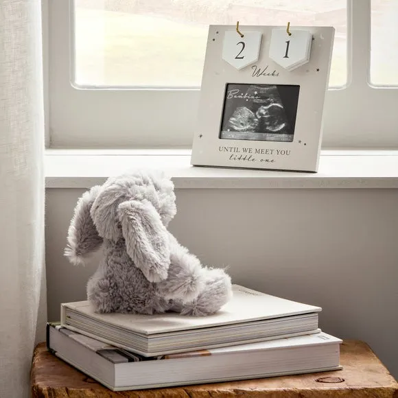 Bambino Arrival Countdown Frame