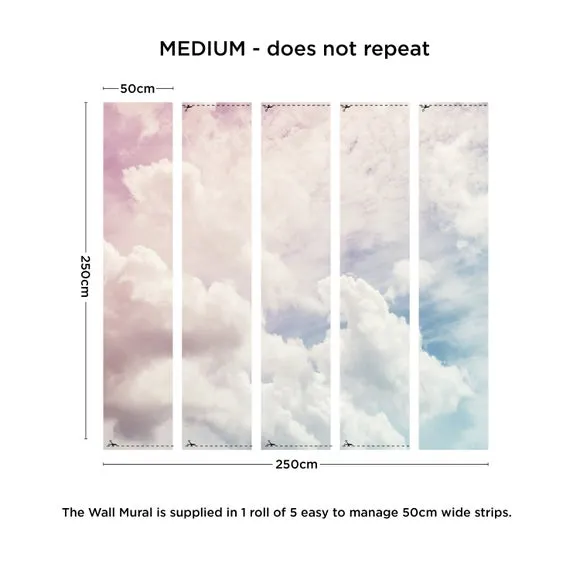 Dreamscape Clouds Wall Mural 3