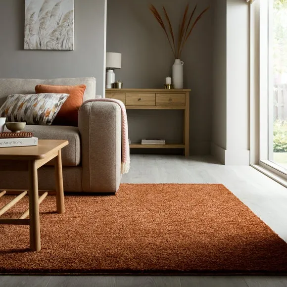 Kallie Washable Shaggy Rug 1