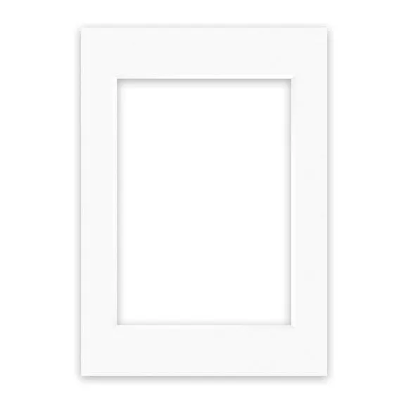 Nielsen Conservation White Picture Mount 1