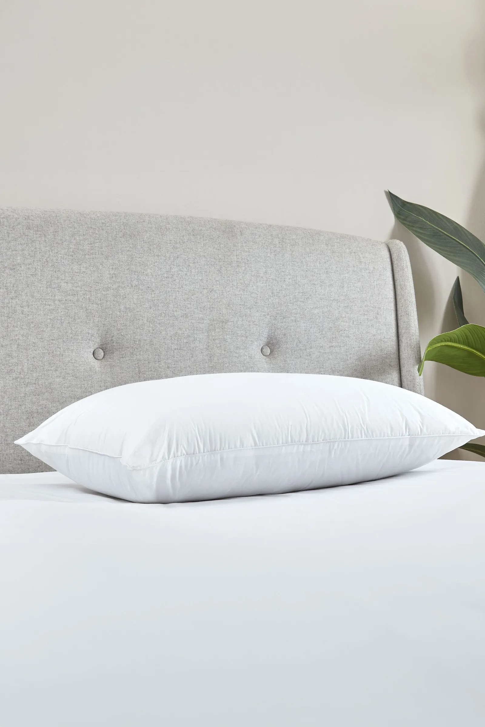 Catherine Lansfield 'Luxury Multi Relax' Cotton Pillow in White 2