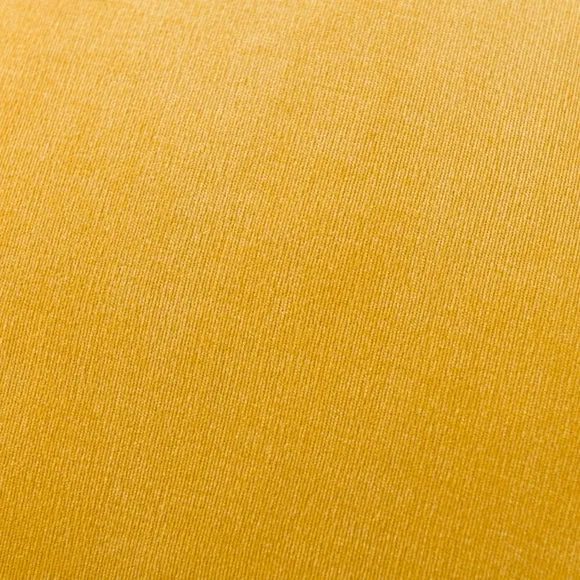 Velour Cushion 2