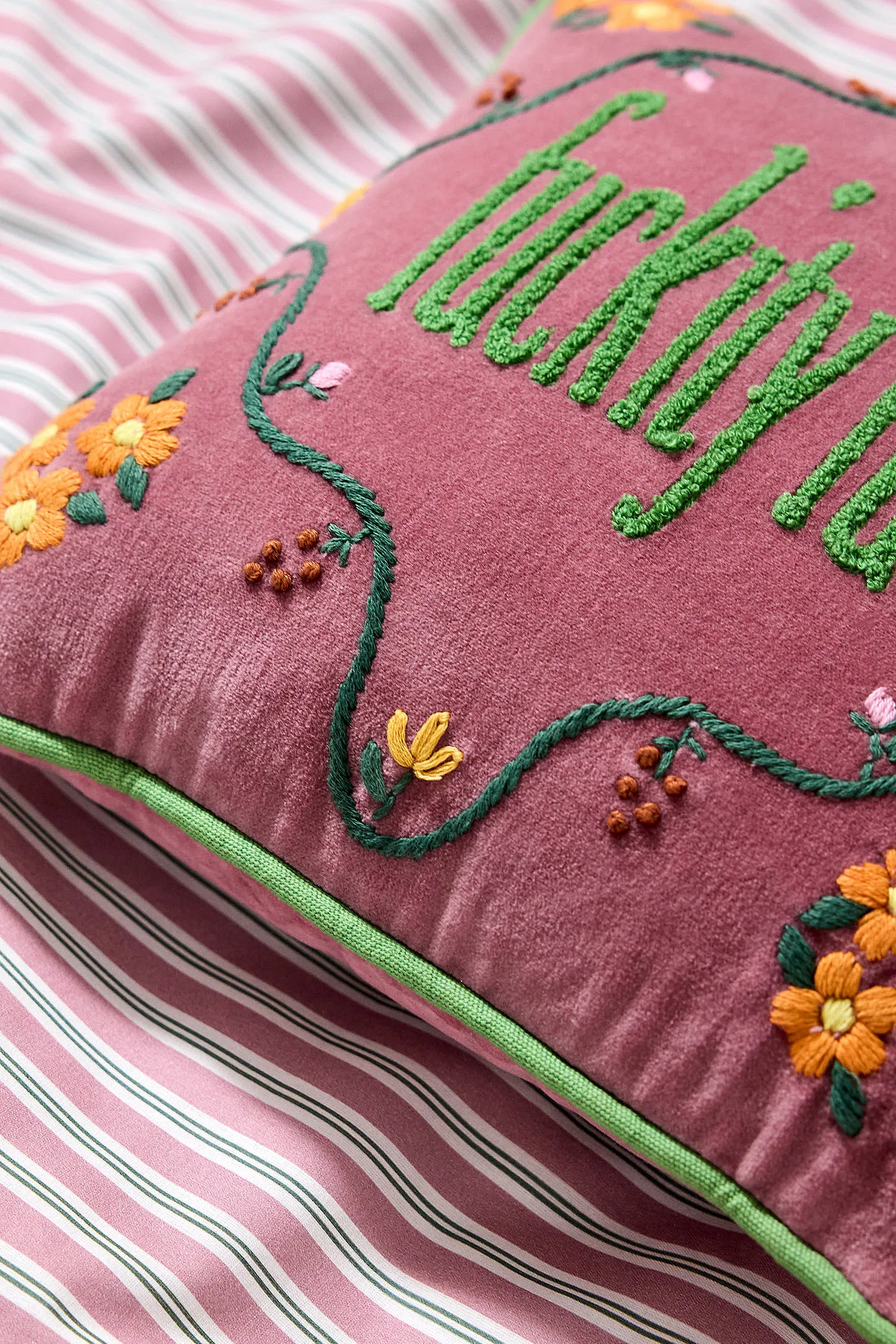 Raspberry F*ckity F*ck Cushion - Berry 2