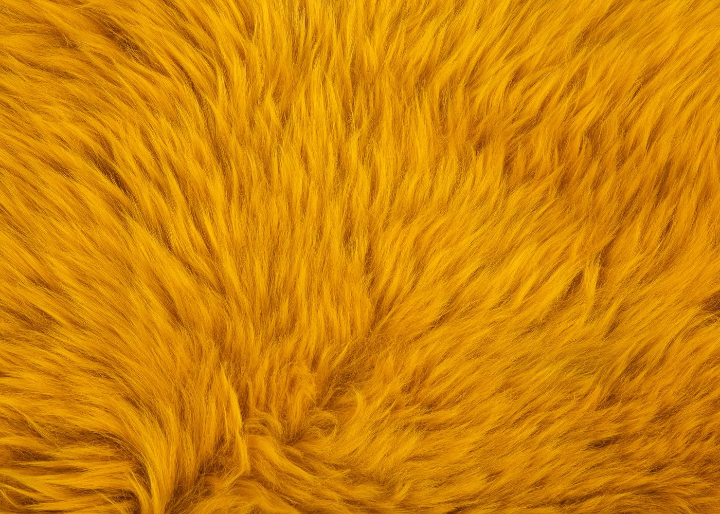 Natures Collection New Zealand Long Wool Sheepskin Imperial Yellow 90 x 60cm 3