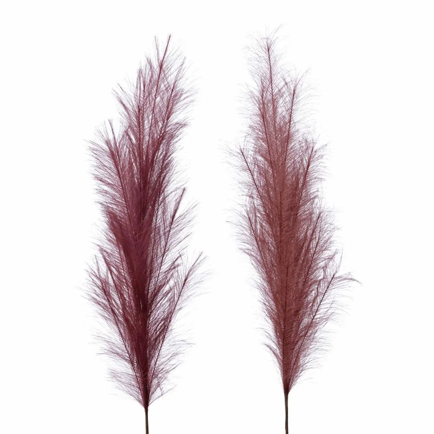 Set of 2 Rust Pampas Grass