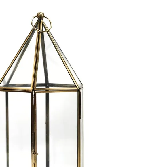 Glass House Terrarium 2