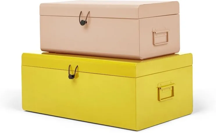 Daven Set of 2 Metal Storage Box Trunks, Pink & Yellow
