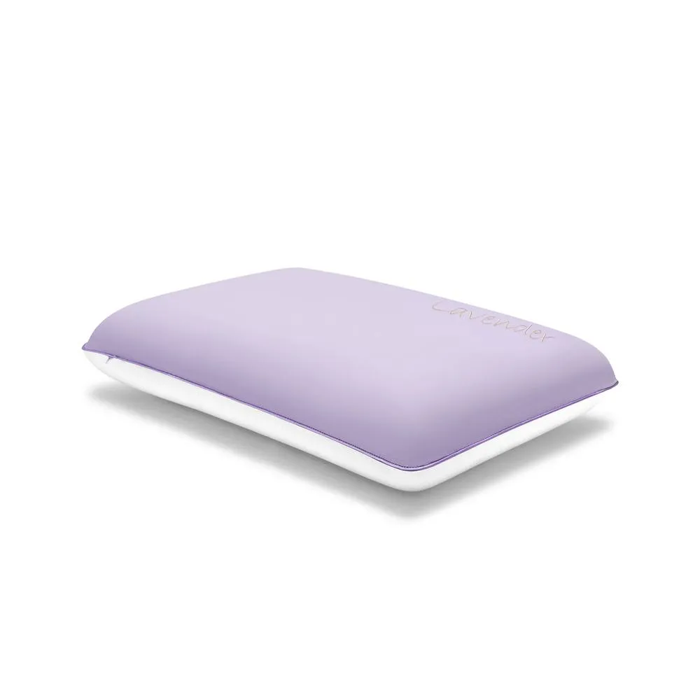 GAVENO CAVAILIA Lavender Scent Infused Pillow in Purple 3